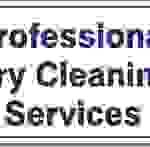 #L326 SIGN- PROFESSIONAL DRY CLEANING SERVICES 1