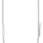 Double Pole Rack* (for 100 & 96 series carts) 1